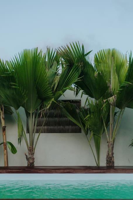 Tutóia Breezy Chalet - Chale Havai מראה חיצוני תמונה